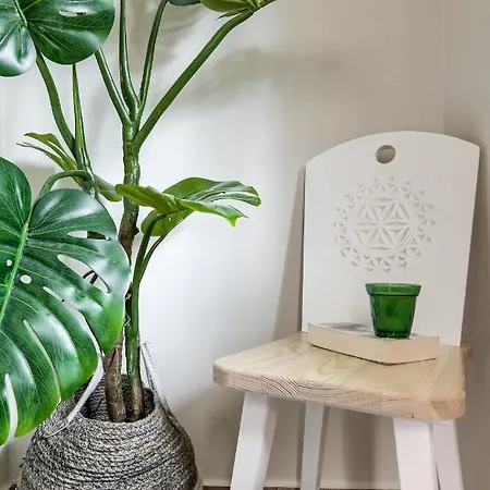 Ski-bowki * Zakopane