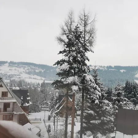 Ski-bowki 公寓 *